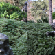 If you look at the tree trunk in the background, you can see where the Z7 offers better dynamic range. The Z7's pic is also sharper in the corners. (Click to enlarge)